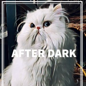 Meet your Posher, Jose